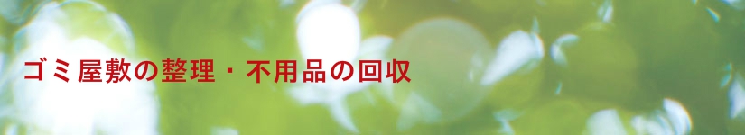 単身引越しサービス